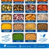 SEIS INGREDIENTES ASADOS