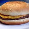 BURGER SIMPLE 100G