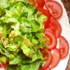 TOMATE Y LECHUGA