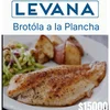 BROTOLA GRILLADA A LA PLANCHA